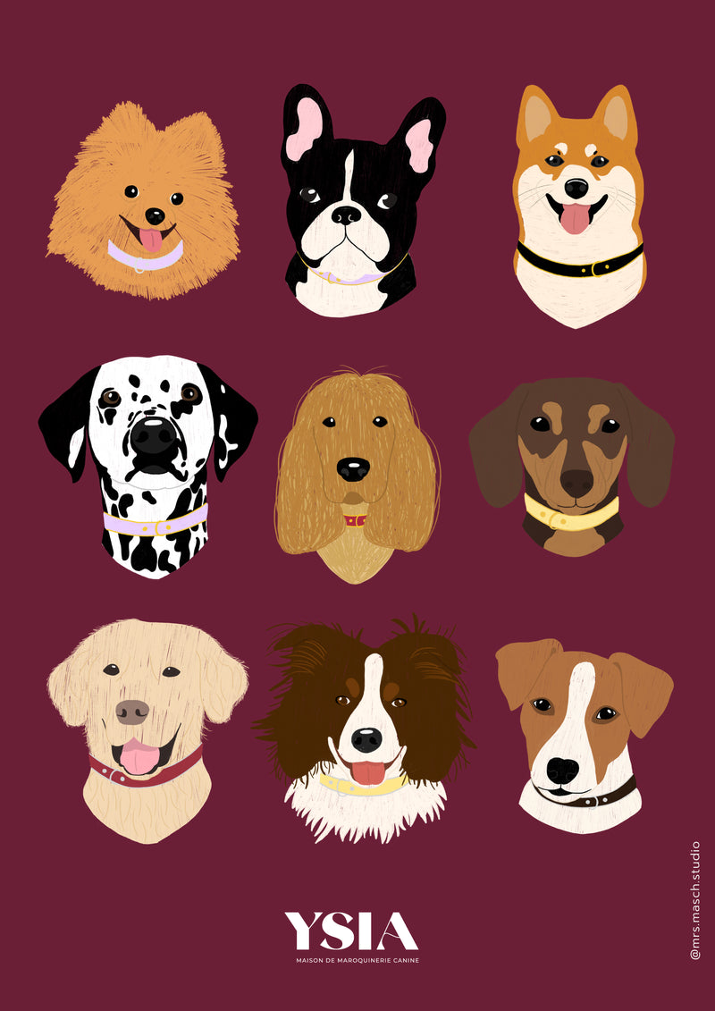 Affiche "THE DOGGYS"