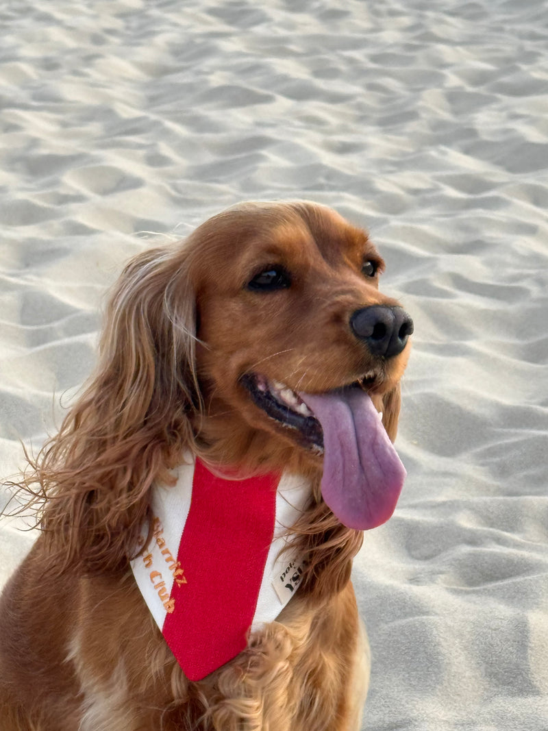 LE BANDANA BIARRITZ